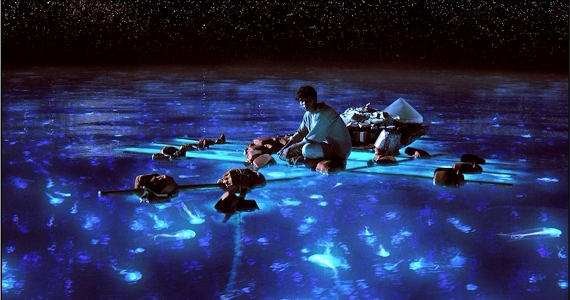 LOP-068    Pi Patel takes in the bioluminescent wonders of the sea.