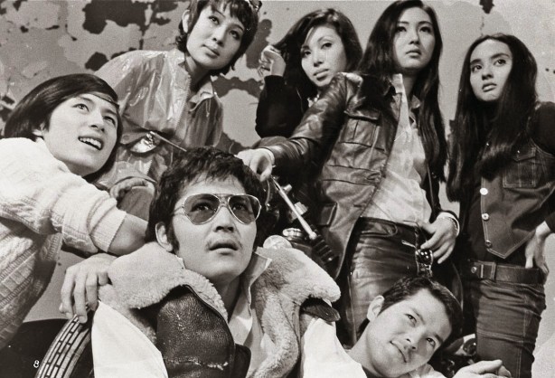 Stray Cat Rock Wild Measures '71 cast