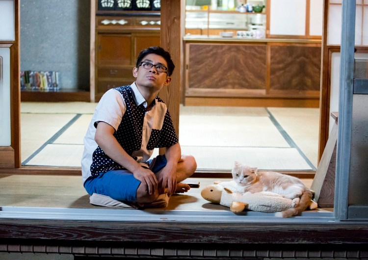 neko assume house still