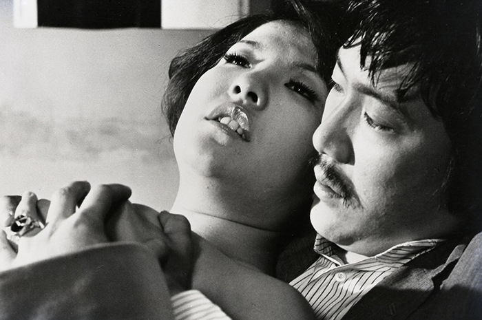 NIGHT OF THE FELINES still