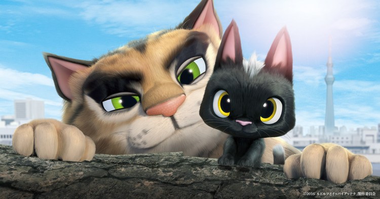 rudolf the black cat still