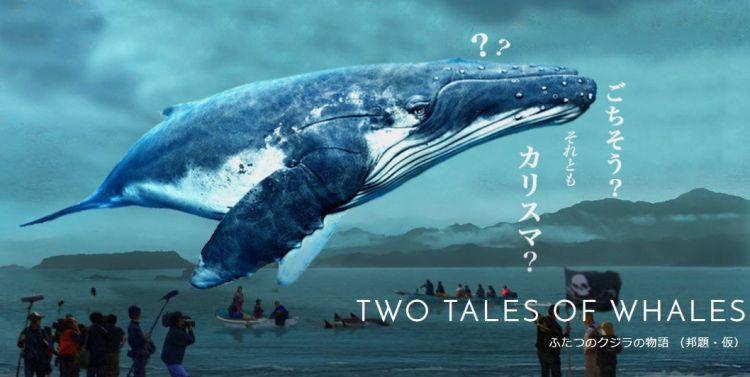 tale of a whale