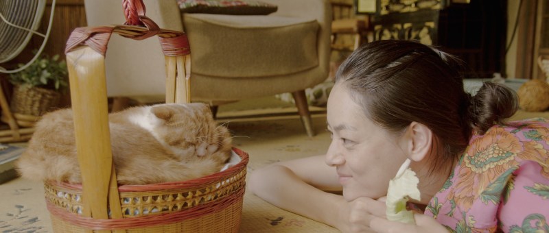 ©2012レンタネコ製作委員会