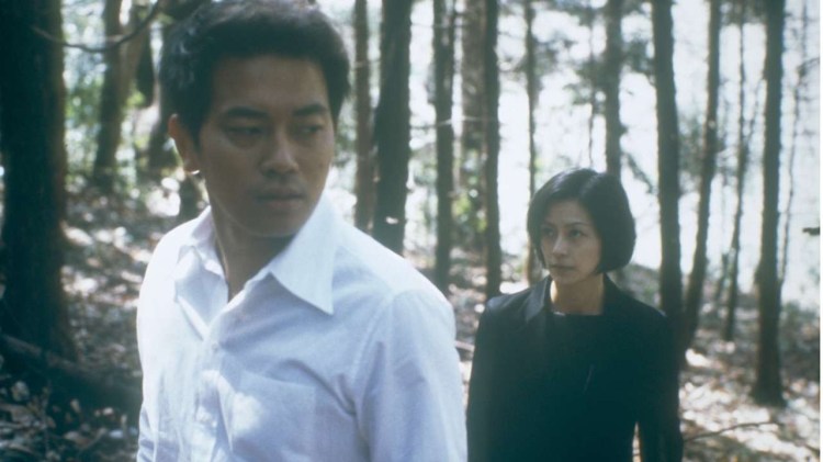 wild berries still 1