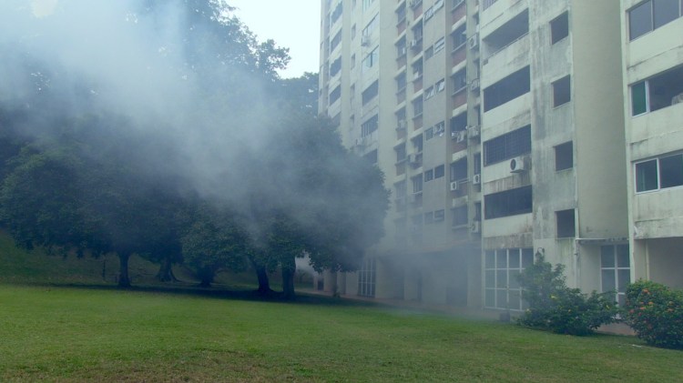 in time to come still 2