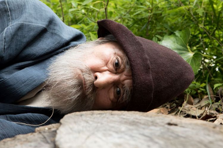 39415762940_128b534524_o