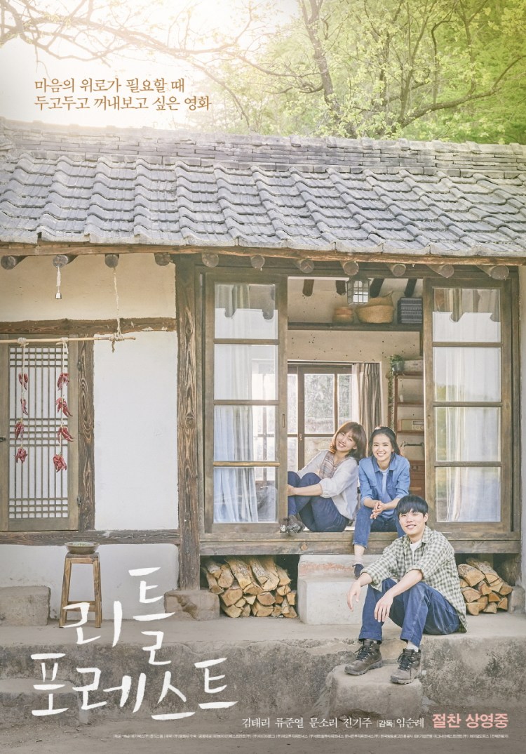 Little forest korean poster