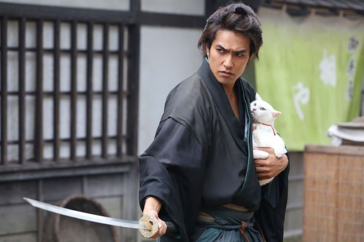 cat samurai still 1