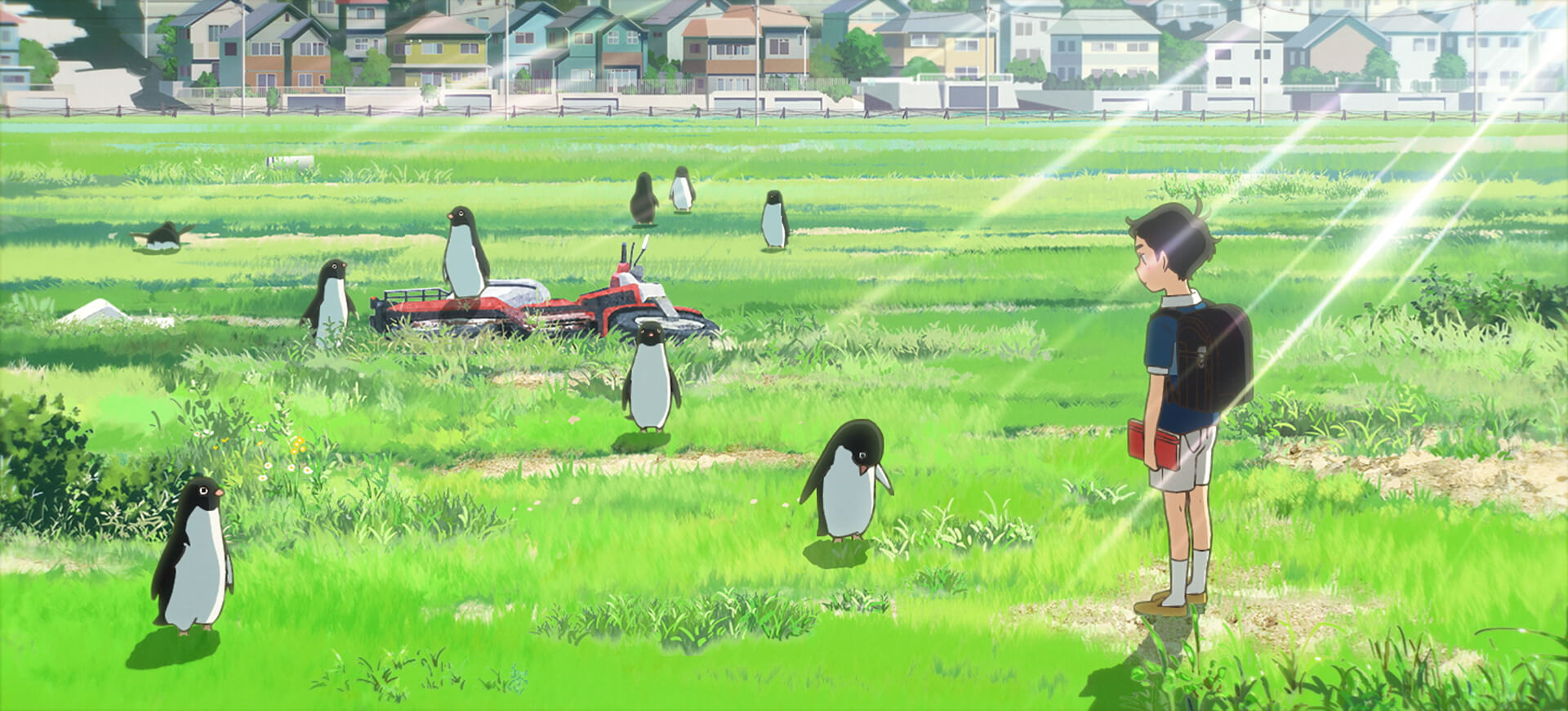 Penguin highway banner