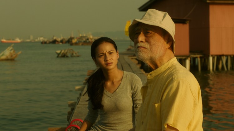 PIGEON-AsianThreeFold