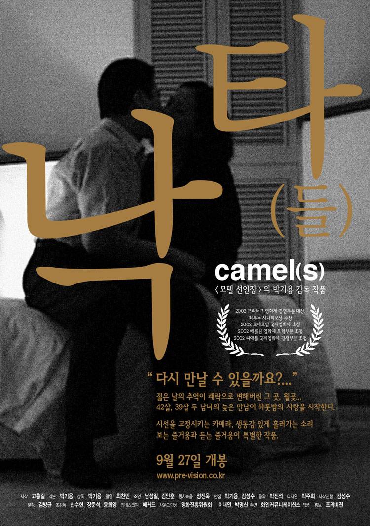 Camel(s) poster