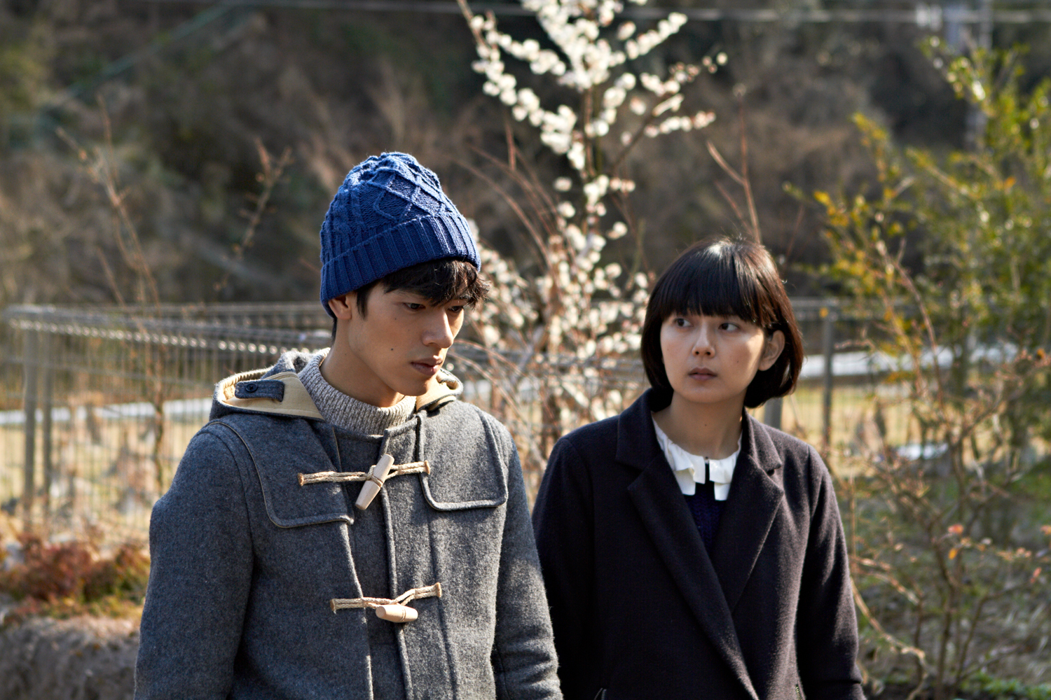 Good stripes still 1