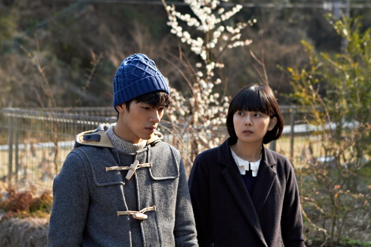 Good stripes still 1