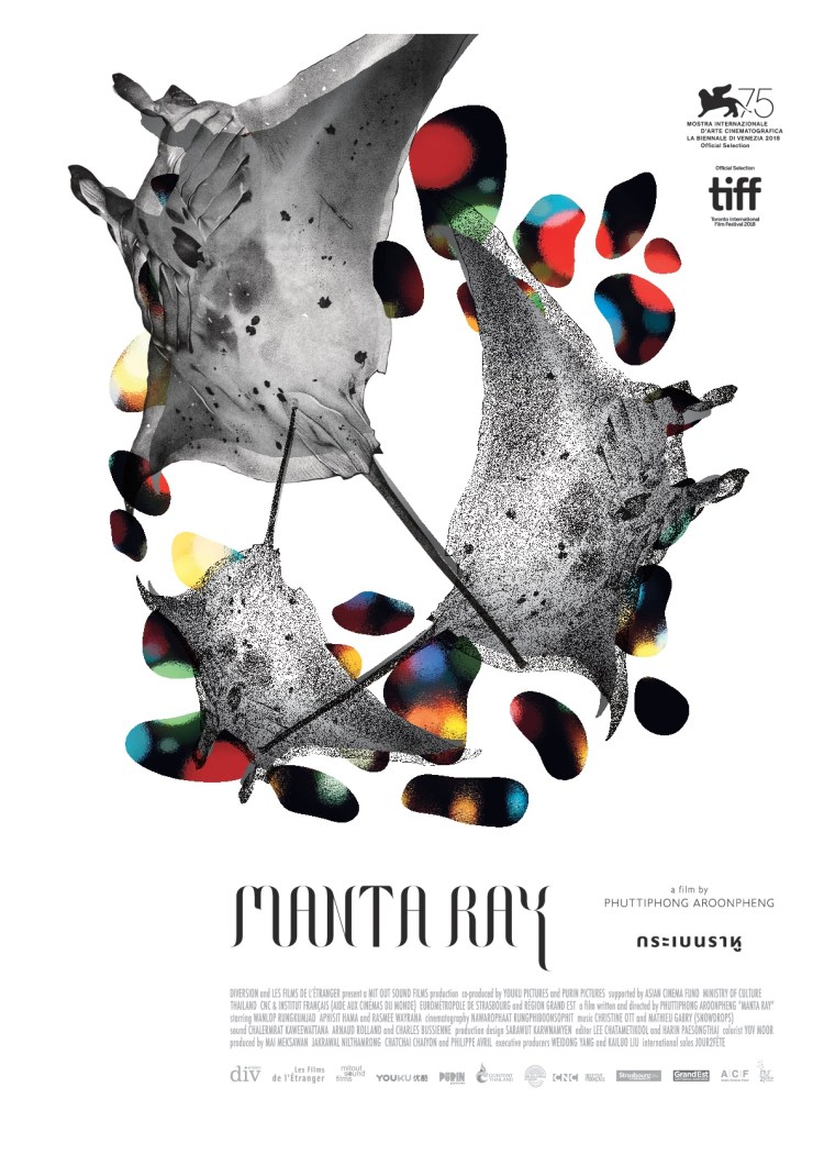 manta ray poster