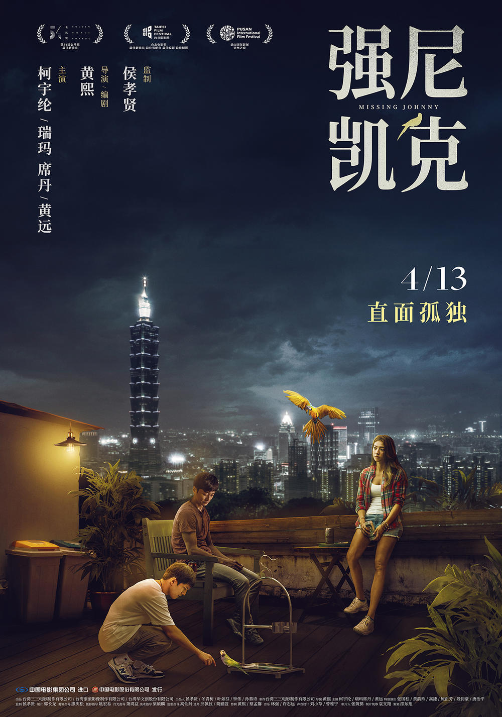 missing johnny poster 2