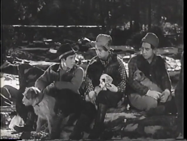 vlcsnap-2019-03-01-23h23m29s757