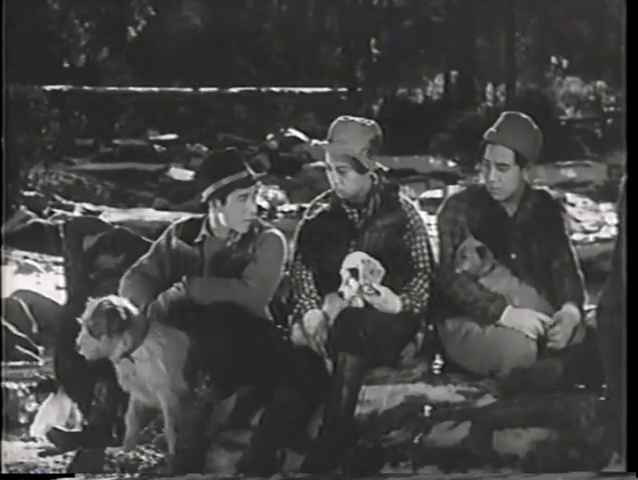 vlcsnap-2019-03-01-23h23m29s757