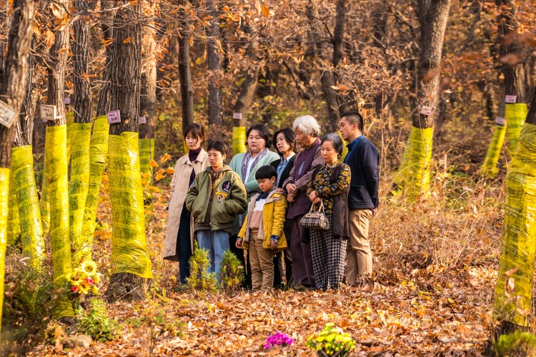 MOVE THE GRAVE STILL 1