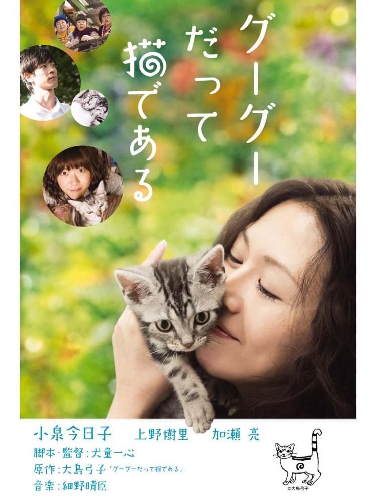 Gu Gu the cat poster
