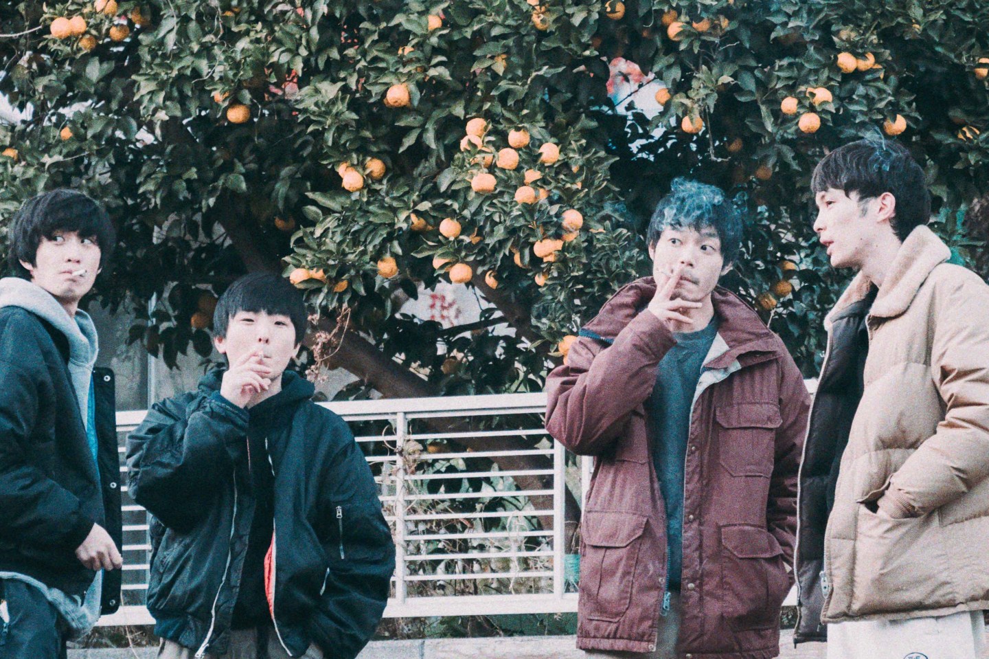 (C) Wong Fei Pang & Takuya Misawa