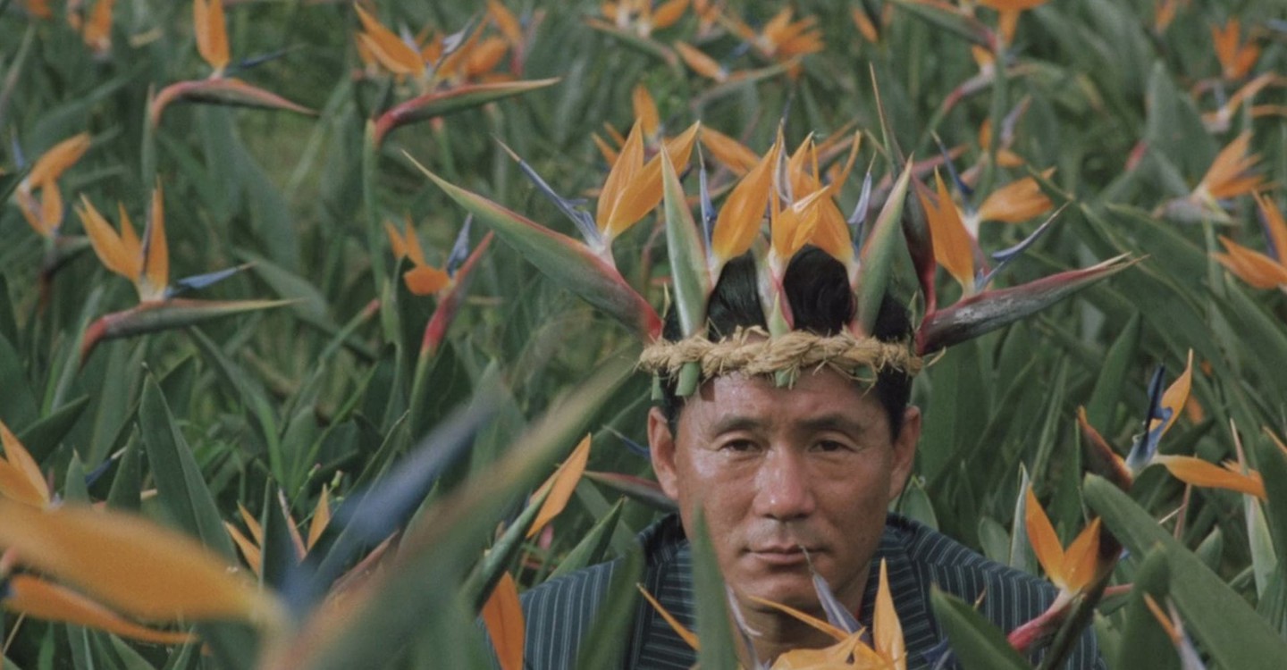 Boiling Point (3－4X10月, Takeshi Kitano, 1990) – Windows on
